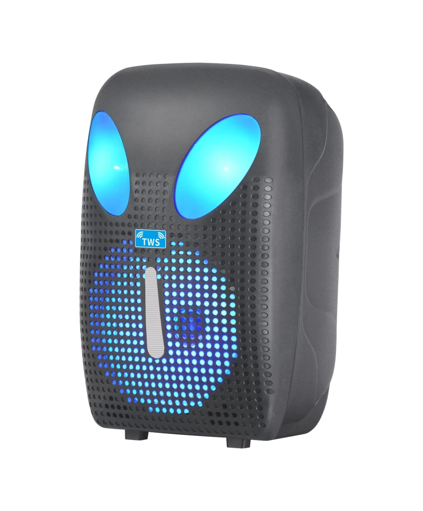 Haut-parleur Bluetooth portable NDR-F61, 10 W